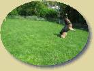 Lady und der Ball * 358 x 269 * (20KB)